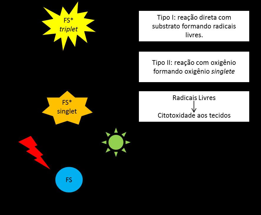 35 o esquema de funcionamento da reação fotoquímica presente na TFD, descrevendo a produção de radicais livres após excitação do FS com irradiação a laser.