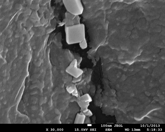 Frequência de Nanoparticulas 53 60 40 Diâmetro m = 52.9 12.