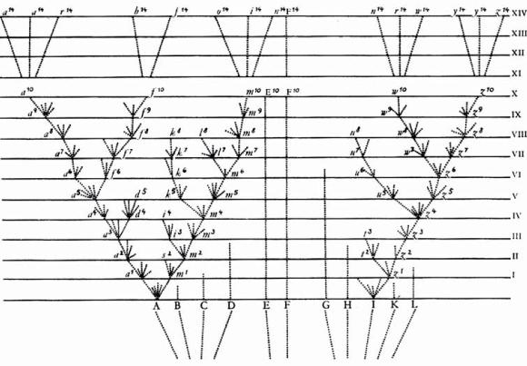 evolutivas através de árvores