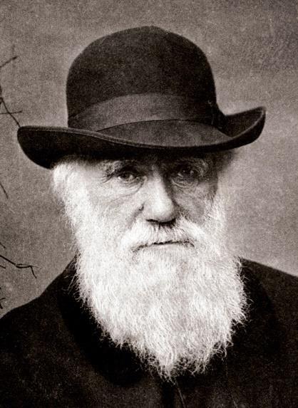 Homologia para Darwin Homologia