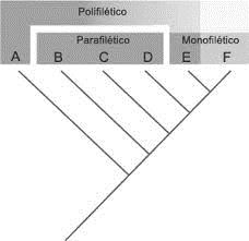 Analisando