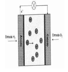 a redução do oxigênio. A platina é o elemento que forma o catalisador mais eficiente para estes tipos de célula, assim, portanto é colocada sobre o carbono poroso da MEA [1, 12].