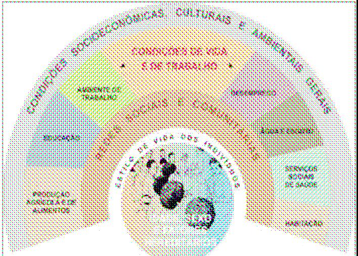 ATENÇÃO À SAÚDE Gestão de Caso Nível 5 Gestão da Condição de Saúde Nível 4 Gestão da Condição de Saúde Nível 3 Intervenções de Prevenção das Condições de Saúde Nível 2 Intervenções de Promoção da