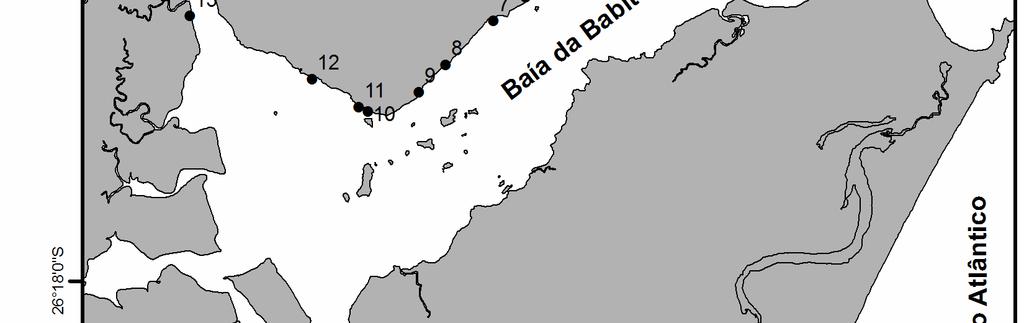 áreas rasas distribuídas ao longo da Baía, desde a área próxima ao mar (26 10' 40,1'' S e 48 35' 26,3'' W) até o setor mais interno (26 13' 12,9'' S e 48