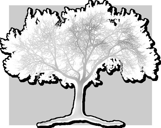 2015-2016 5776-5777 Etz Hayim Árvore da Vida Publicação 2015