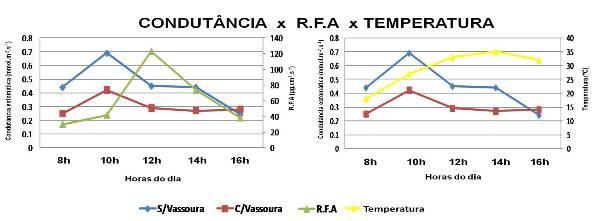 356 e absorção de CO2 aumentando a resistência dos estômatos.