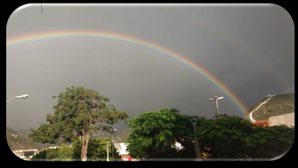 Óptica A Óptica é o estudo da luz.