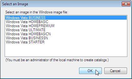 Selecione Windows Vista BUSINESS > OK.