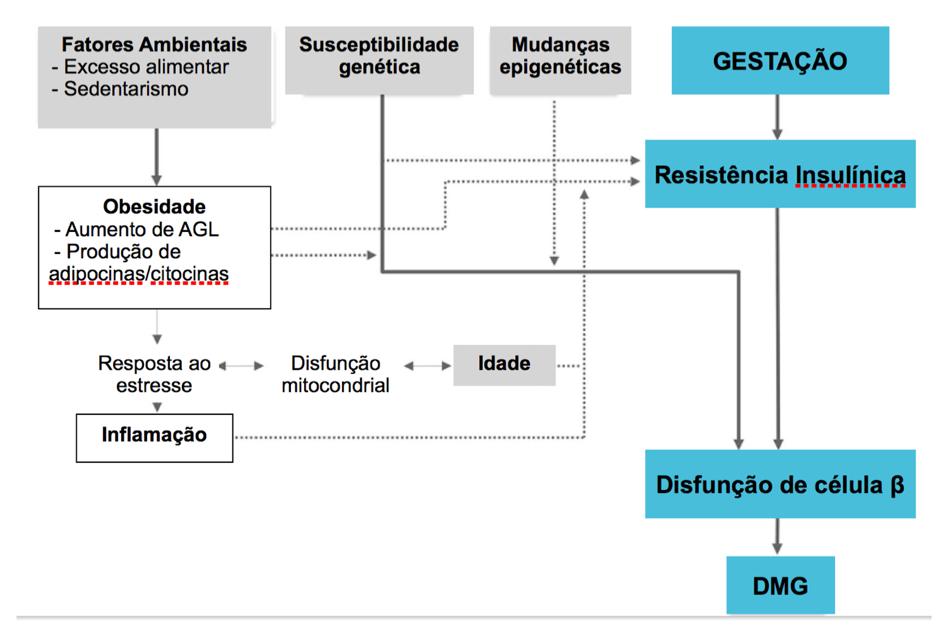 GESTAÇÃO Resistência insulínica Disfunção de célula DMG Figura 03 - Fatores patogênicos subjacentes ao Diabetes mellitus gestacional. Fonte: modificado de Chiefari, E at al (41). 1.