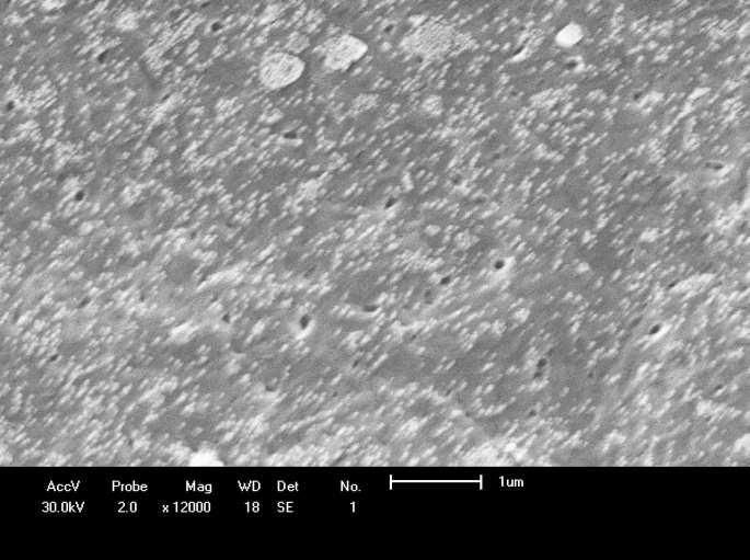Resultados e Discussão Caracterização das membranas Microscopia Eletrônica de Varredura (MEV) Fotomicrografias de MEV foram obtidas para todas as membranas para analisar as superfícies de topo e