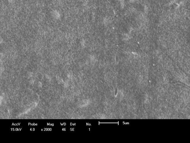Figura 2. Fotomicrografia de MEV obtida na superfície de topo da membrana de PA6/PPgAA. Figura 3. Fotomicrografia de MEV obtida na superfície de topo da membrana de PA6/PP/PPgAA.