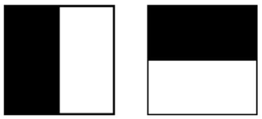 (c) Computação e ponderação das magnitudes dos gradientes e criação do histograma de magnitudes em oito orientações (representados como o comprimento das setas).