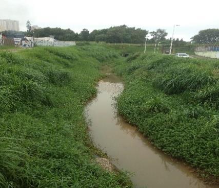 22 6. Discussão Para a bacia do rio Sorocaba, foram registradas cinco espécies introduzidas Triportheus nematurus, Pterygoplichthys anisitsi, Oreochromis niloticus, Tilapia rendalli e Poecilia