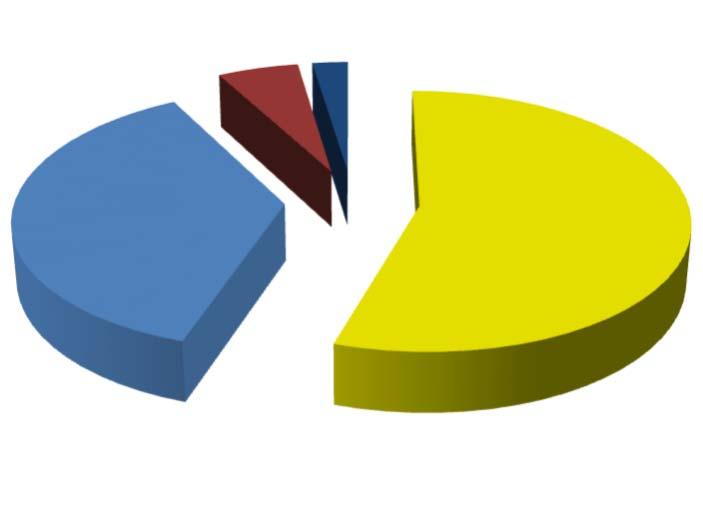 4.3 DISTRIBUIÇÃO POR INSTITUIÇÃO FINANCEIRA SEGMENTO VALOR APLICADO (em R$) Percentual sobre Patrimônio Líquido RPPS Banco do Brasil 128.021.378,11 55,0% Caixa Econômica Federal 86.360.