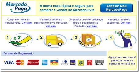 Riscos principais De posse da sua senha um invasor pode: acessar o seu site de comércio eletrônico e: