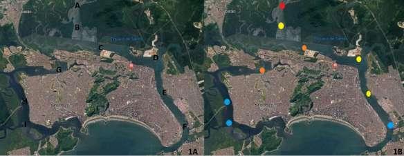 H e I, mais distantes da área portuária e industrial, são os que apresentam baixa contaminação.