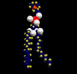 superfícies internas ou externas da membrana plasmática FLUIDEZ.