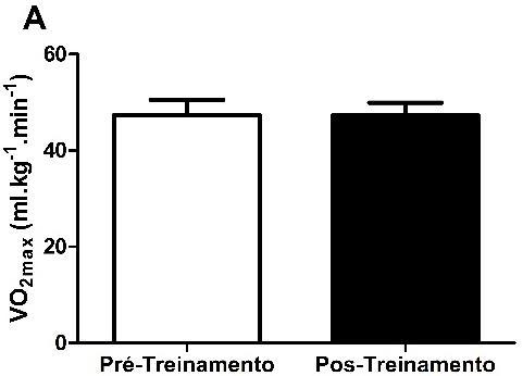 Figura 1.