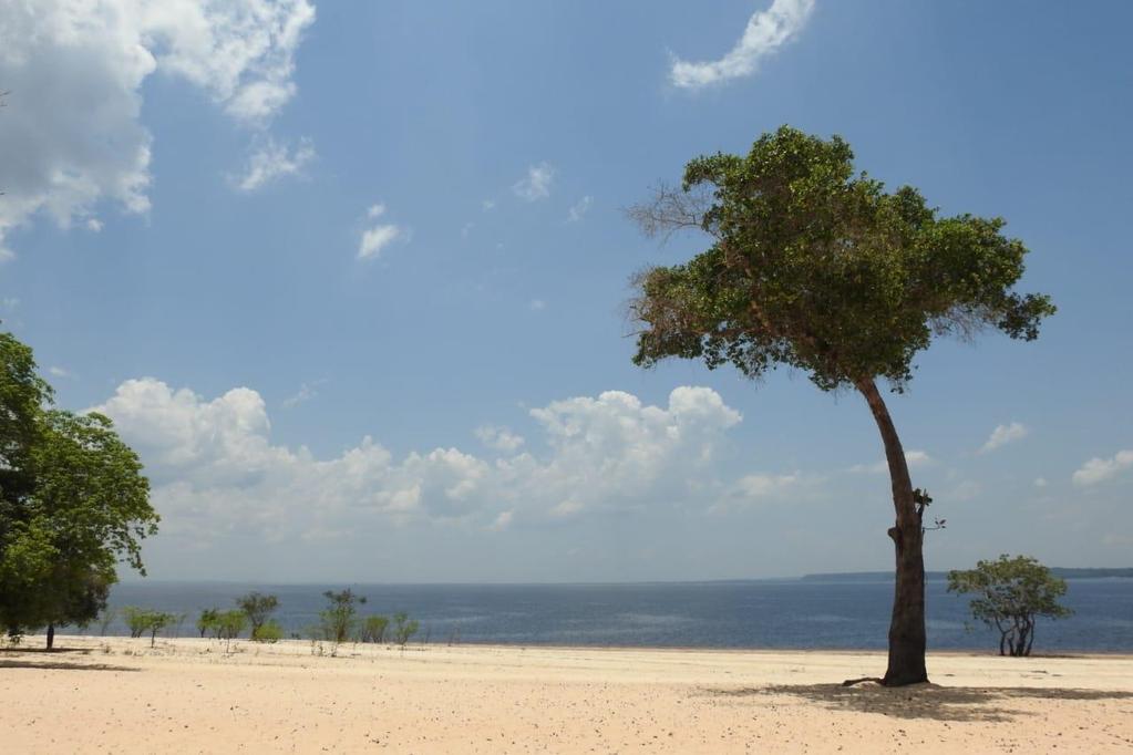 vida; Melhoria das condições de vida para alguns; Degradação ambiental e social