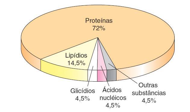 além de participarem de reações químicas que garantem a manutenção da vida; Inorgânicos: água e