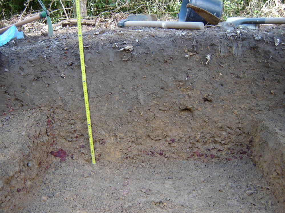 As escavações foram realizadas em duas etapas. Uma primeira foi realizada em uma área preservada, onde foram escavadas 2 quadras de 2x4 metros (Nunes Filho, 2009: 12-13).