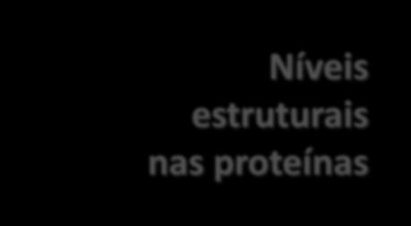 determinada pelo DNA 2 grupos R ligações de hidrogênio 3