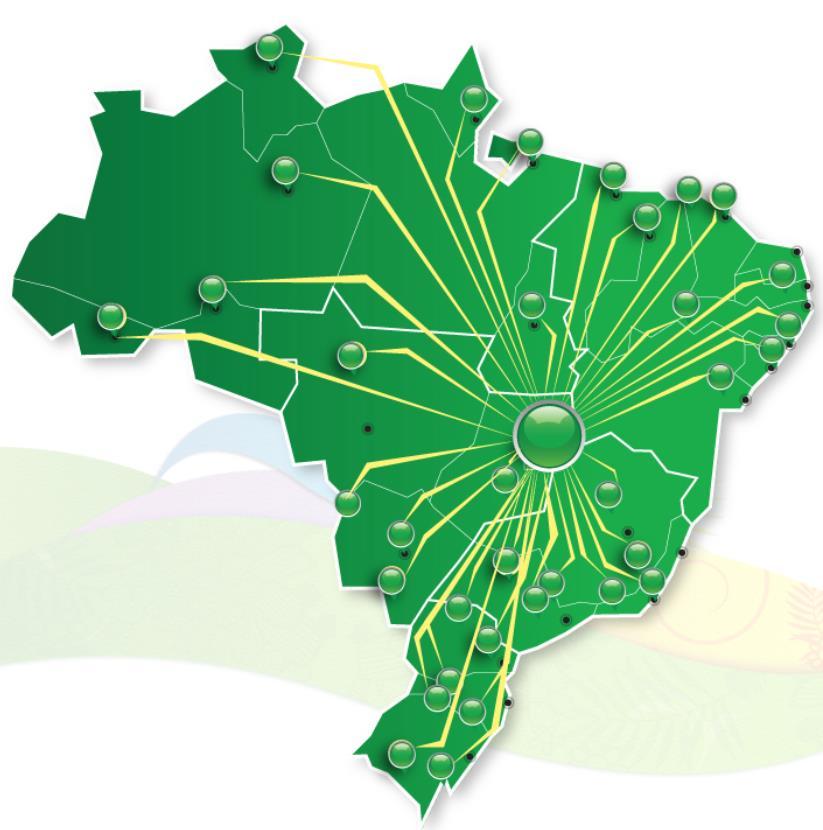 Empresa Brasileira de Pesquisa Agropecuária - Embrapa A maior instituição de P&D em agricultura do hemisfério sul!! Estabelecida em 1973 9.