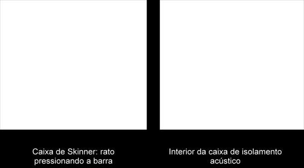 de base do comportamento operante; 2) habituação do estímulo neutro (préaversivo); 3) inserção do estímulo neutro e estímulo aversivo; 4) retorno a linha de base; e 5) apresentação apenas do estímulo