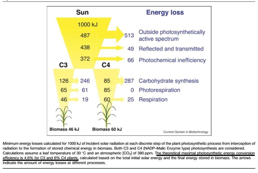 Potencial de Produção CANA DE AÇÚCAR É A SOLUÇÃO! 350 Theoretical Potential Yield vs Experimental vs Commercial T C H 3001.