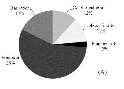 17 Figura 6. Resultado da ordenação através da técnica de Análise de Correspondência Canônica para os Taxa da comunidade de macroinvertebrados bentônicos.
