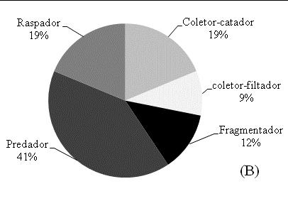 Em relação aos grupos funcionais, a ecorregião do PEG foi composta de 56% de predadores, 17% de raspadores, 12% de coletores-catadores, 12% de coletoresfiltradores, 3% de
