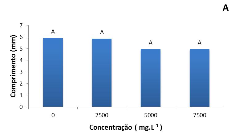Figura 3: Média do número de brotos nas estacas de mirtilo submetidas a diferentes concentrações (0, 2500, 5000, 7500 mg.l -1 ) de AIB (A) e em diferentes tempos de submersão (0, 15 e 30 seg.
