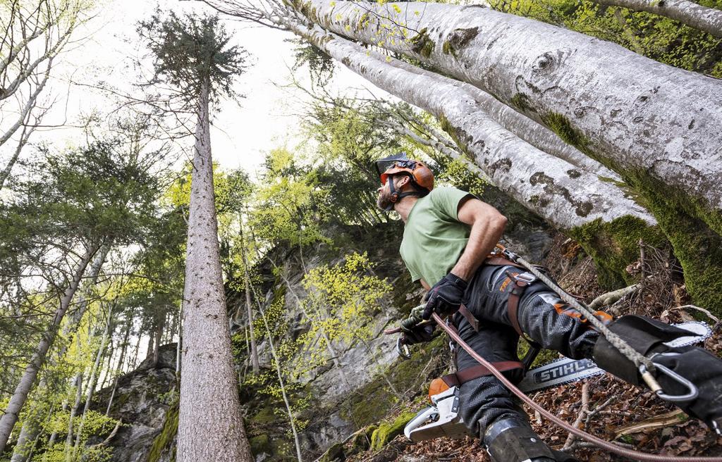 Peso reduzido Damien Lormand, 38, arborista independente e certificado, Haute-Savoie, França "A MINHA