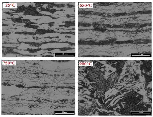 425 Nos corpos de prova ensaiados a 650 C, verificou-se a presença de perlita e ferrita na matriz. Ainda, pôde ser observado um crescimento nos grãos.
