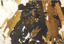 esquerdo) Cristal de titanita mostrando inclusões de minerais opacos; 8 (inferior direito) Cristal de zircão incluso nas lamelas de