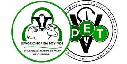 -Certificado - Certificamos que Evelline Gomes de Souza Participou nos cerimoniais de abertura/encerramento do III Workshop em Bovinos, totalizando 4 horas em atividades culturais.