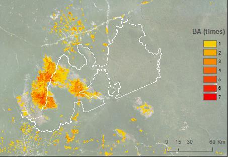 Disseminação dos Resultado PN Campos Amazônicos PN