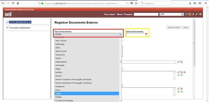 2.4 Escolha o Tipo de Documento Externo (pois será anexado o arquivo em formato PDF do Pedido que