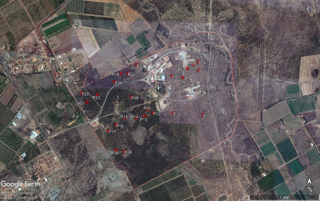 O componente arbustivo-arbóreo em área de Depressão Sertaneja Meridional em Petrolina, PE 3 de 11 Coleta de dados e amostragem Para verificar os padrões estruturais do componente arbustivo-arbóreo,