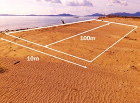 Para dar maior notoriedade à informação resultante dos registos das campanhas de identificação e recolha do lixo marinho nas praias de mar e /ou fluviais solicita-se a identificação dos Suspeitos do