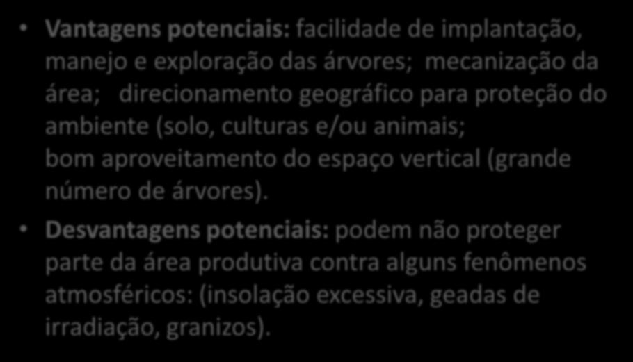 aproveitamento do espaço vertical (grande número de árvores).