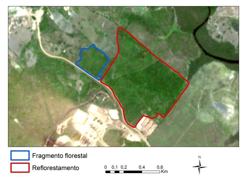 2. MATERIAL E MÉTODOS As áreas de estudo localizam-se no município de Laranjeiras - SE, situada na latitude 10º48 22 e longitude 37º10 18 e uma altitude de 20 m.