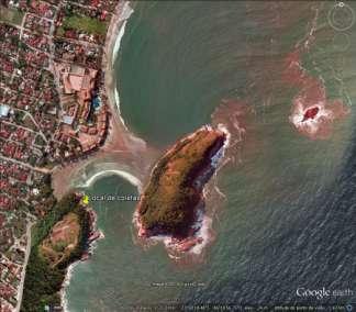 Figura1: Vista aérea do local de coleta (marcado com alfinete amarelo na imagem) no lado direito da praia do Pernambuco, Guarujá, SP e defronte à Ilha do Mar casado (Fonte: Google Earth).