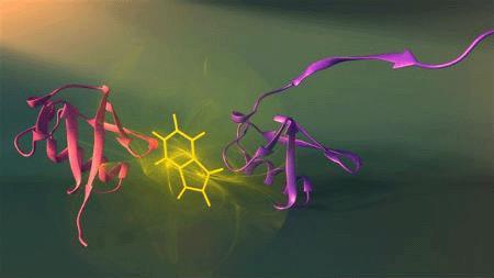 Identificação do alvo molecular Proteína relacionada a doença