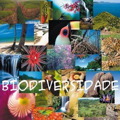 ECO-92: a Convenção da Biodiversidade Nessa Convenção, está prevista a transferência de parte dos recursos ou lucros obtidos com a exploração e comercialização