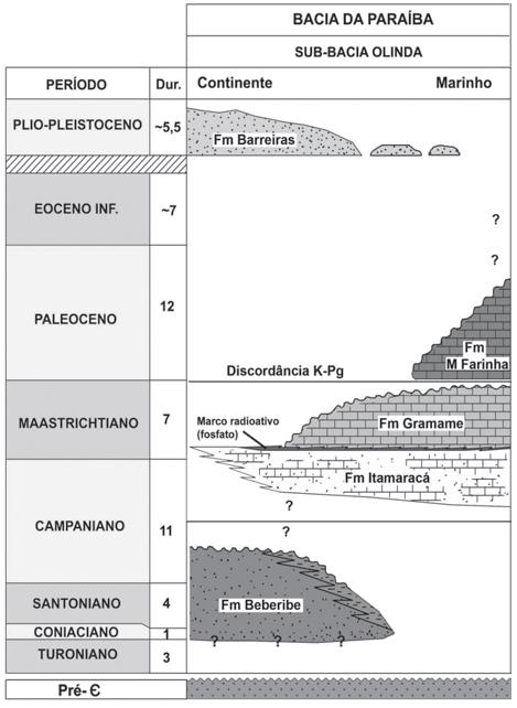 Figura 12 Sessão geológica elaborada a partir de perfis de poços ao longo da faixa