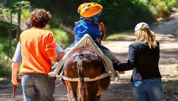 OS 4 SENTIDOS Reconhecer as diferentes espécies de animais da