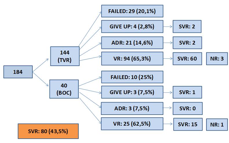 110 FIGURE 1 - Flowchart on the outcomes of Telaprevir and Boceprevir therapy of hepatitis C infected patients treated with protease inhibitor telaprevir and boceprevir in Bahia, Brazil.