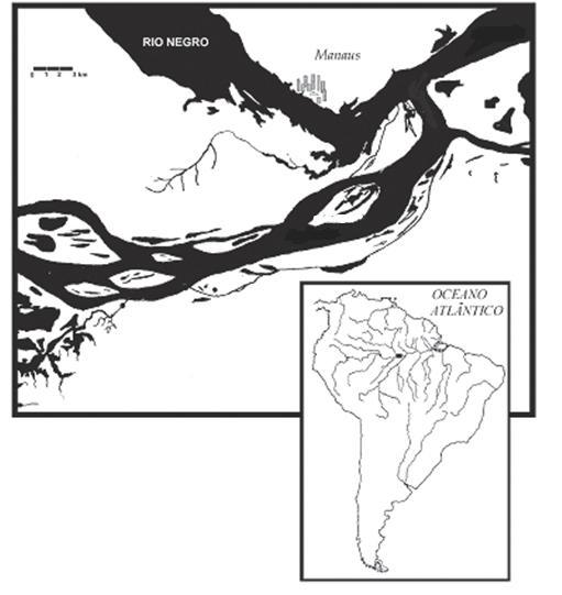 desprendem ficando à deriva, sendo carreados pelo vento e/ou correnteza (SCHIESARI, 2003).