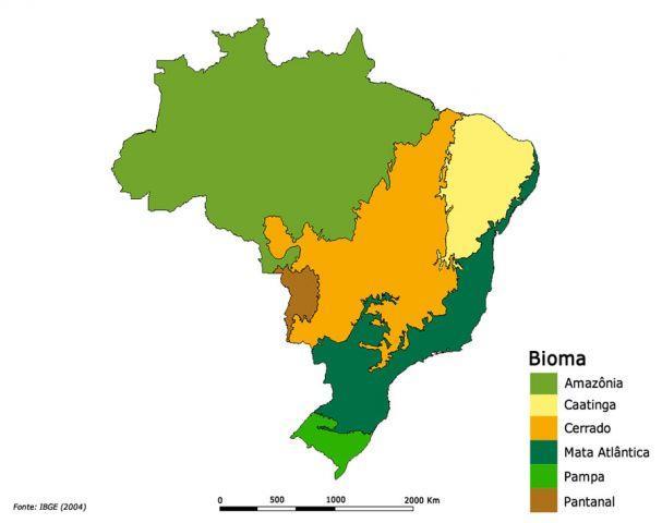 Amazônia + Cerrado =